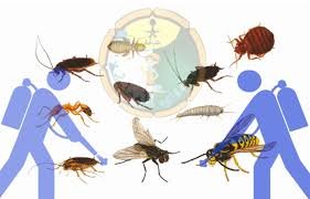 شركة مكافحة حشرات بالرياض 0539351448 شركة مكافحة حشرات بالرياض 0539351448