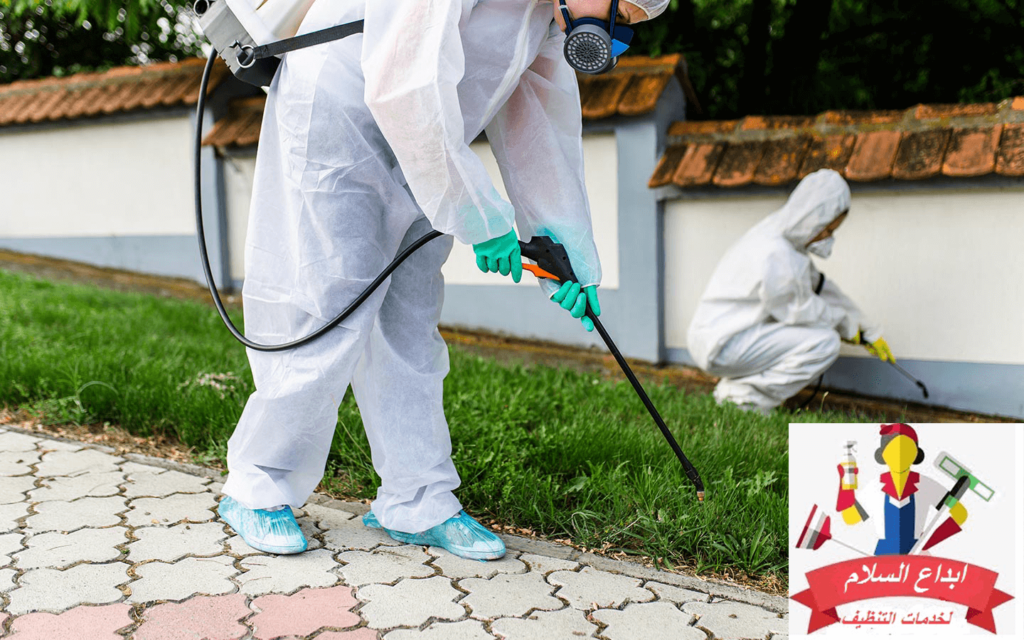 شركة مكافحة الحشرات والتعقيم ببيشة 0539351448