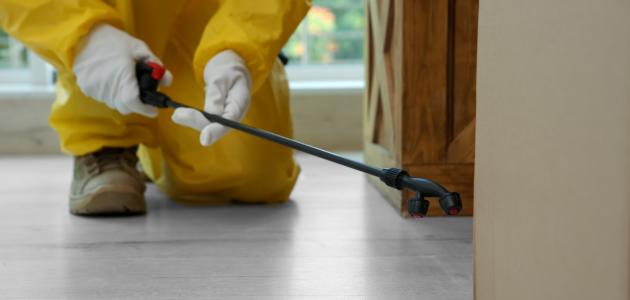 شركة مكافحة الحشرات بالأحساء 0539351448 خصم 30 %