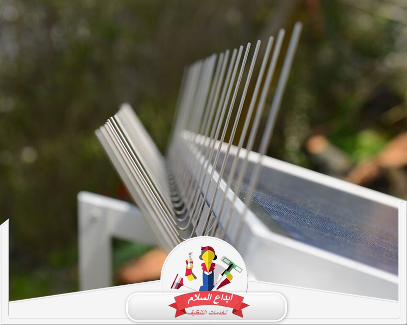 تركيب طارد الحمام بالاحساء  0539351448