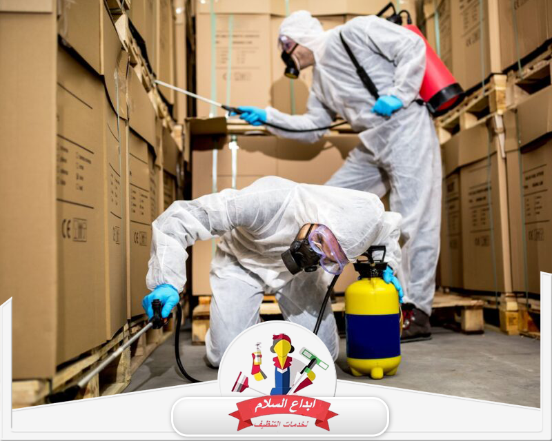 شركة مكافحة حشرات بالظهران 0539351448