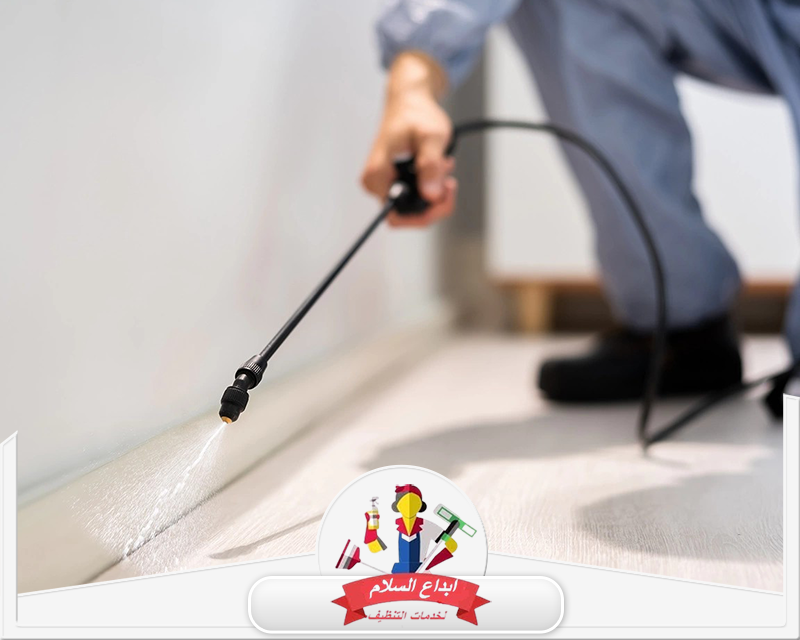 شركة مكافحة حشرات براس تنورة 0539351448