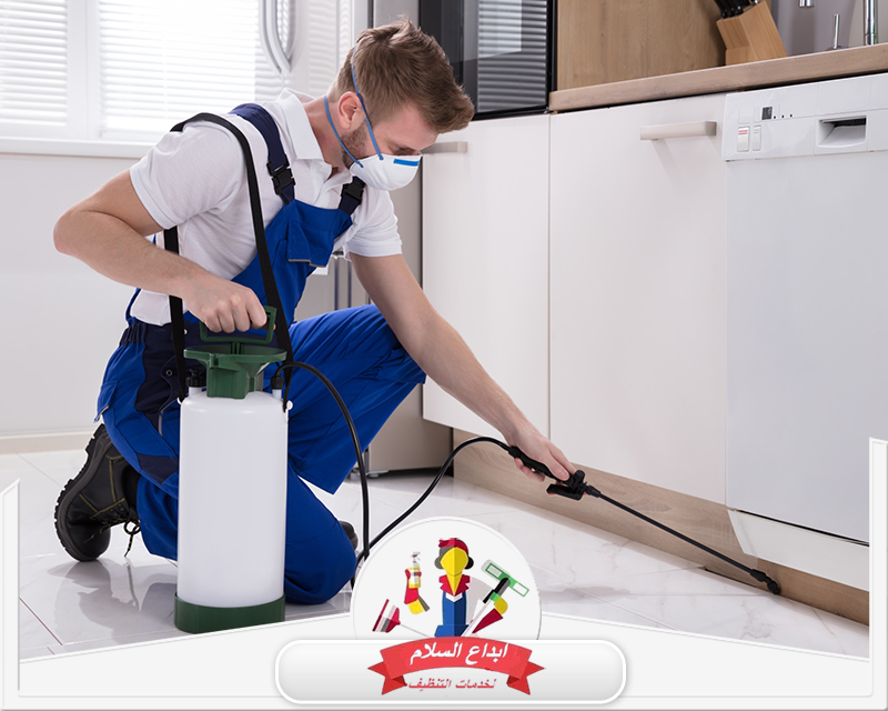 شركة مكافحة حشرات بالنعيرية 0539351448