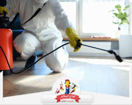 افضل شركة مكافحة حشرات براس تنورة