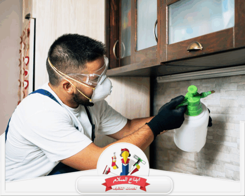 شركة مكافحة الصراصير براس تنورة